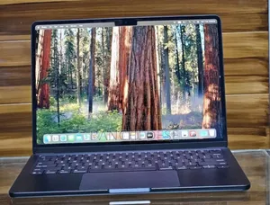 New Apple MacBook Air 2025 M4 13-inch 16GB Apple M4 Pro SSD 256GB