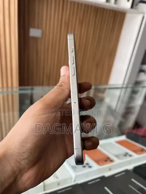 Apple iPhone 15 Pro Max 256 GB Silver