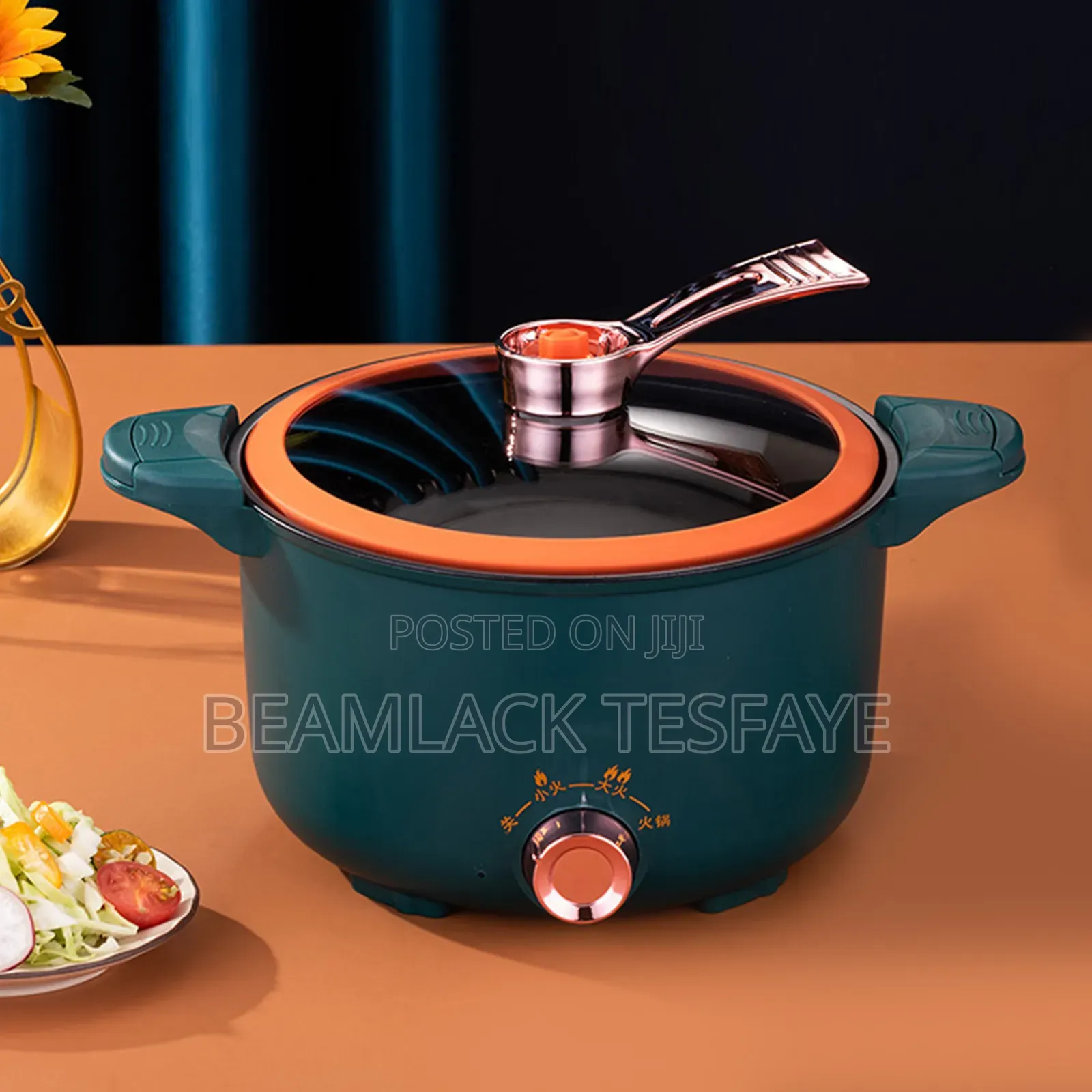 Electric Pressure Mini Pot