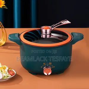 Electric Pressure Mini Pot