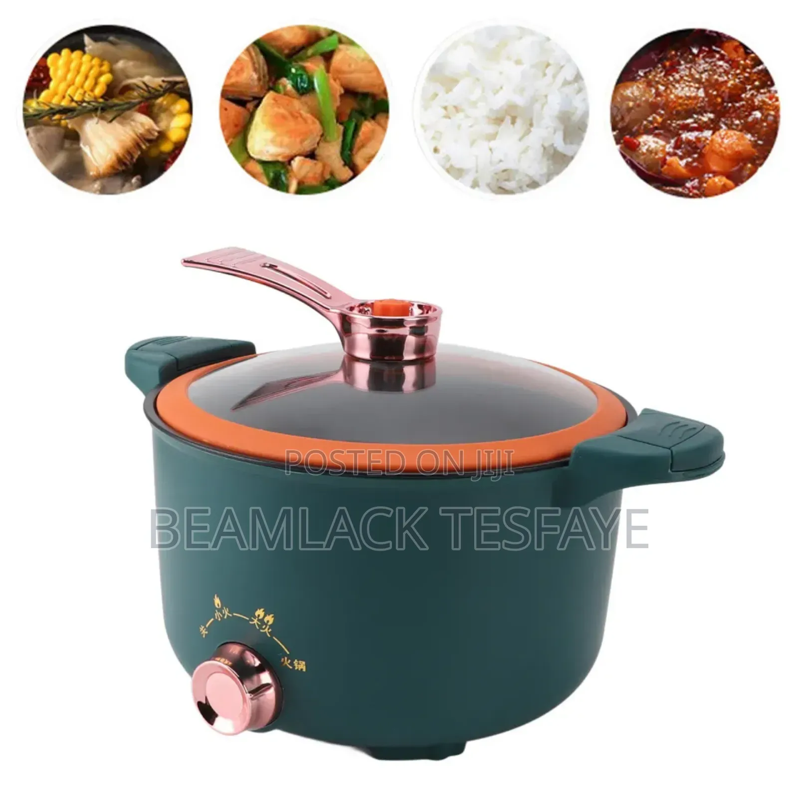 Electric Pressure Mini Pot