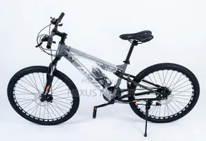 Avya Bike Silver