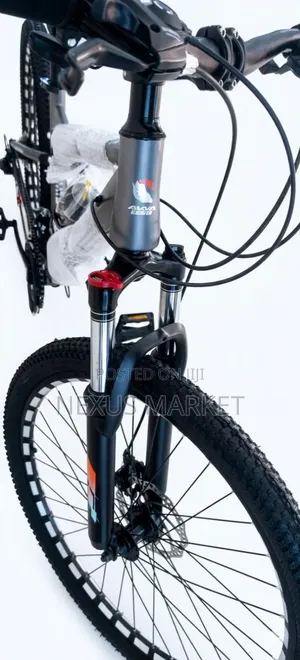 Avya Bike Silver