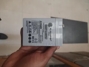 Jwpattern 6v 4.5ah Rechargeable Battery