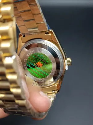 Rolex Oyster Perpetual Day Date Watch