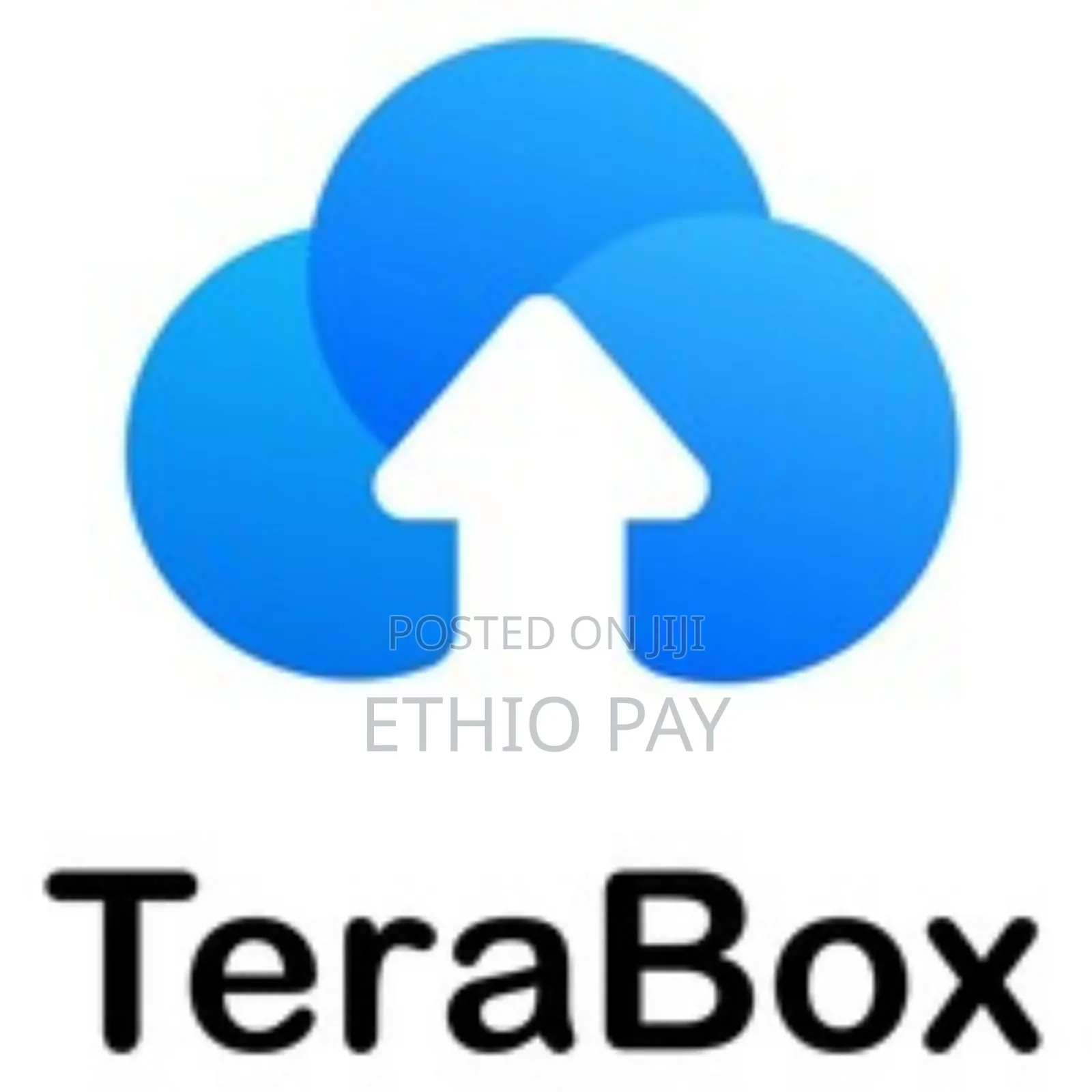 Terabox Subscription