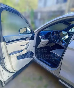 BYD Song Plus DM-i 2024 Silver