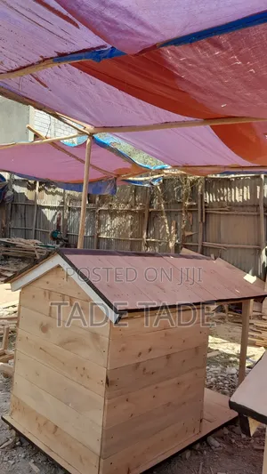 በቀለ Dog House Work