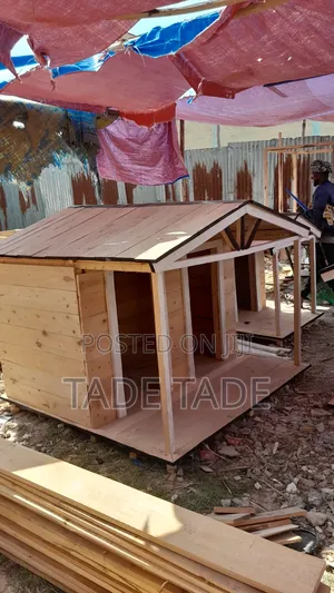 Dog and Cat Home or House Pets