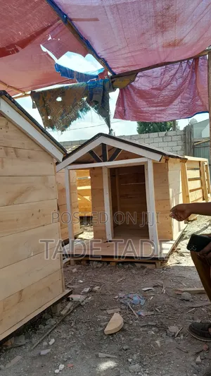 ቴድሮስ Modern Dog House Sale