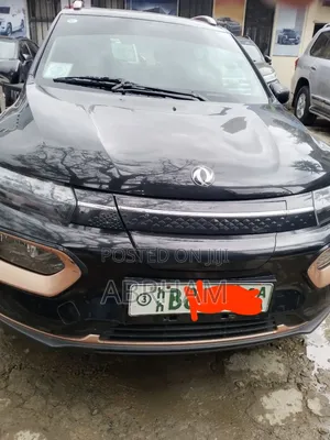 Dongfeng EV EX1 33 kW FWD 2023 Black