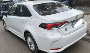 Toyota Corolla 2022 White