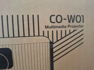Epson W01 Projector