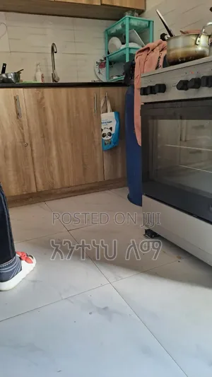 2bdrm Condo in Lideta for sale