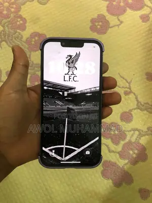 Apple iPhone 13 Pro 256 GB Silver