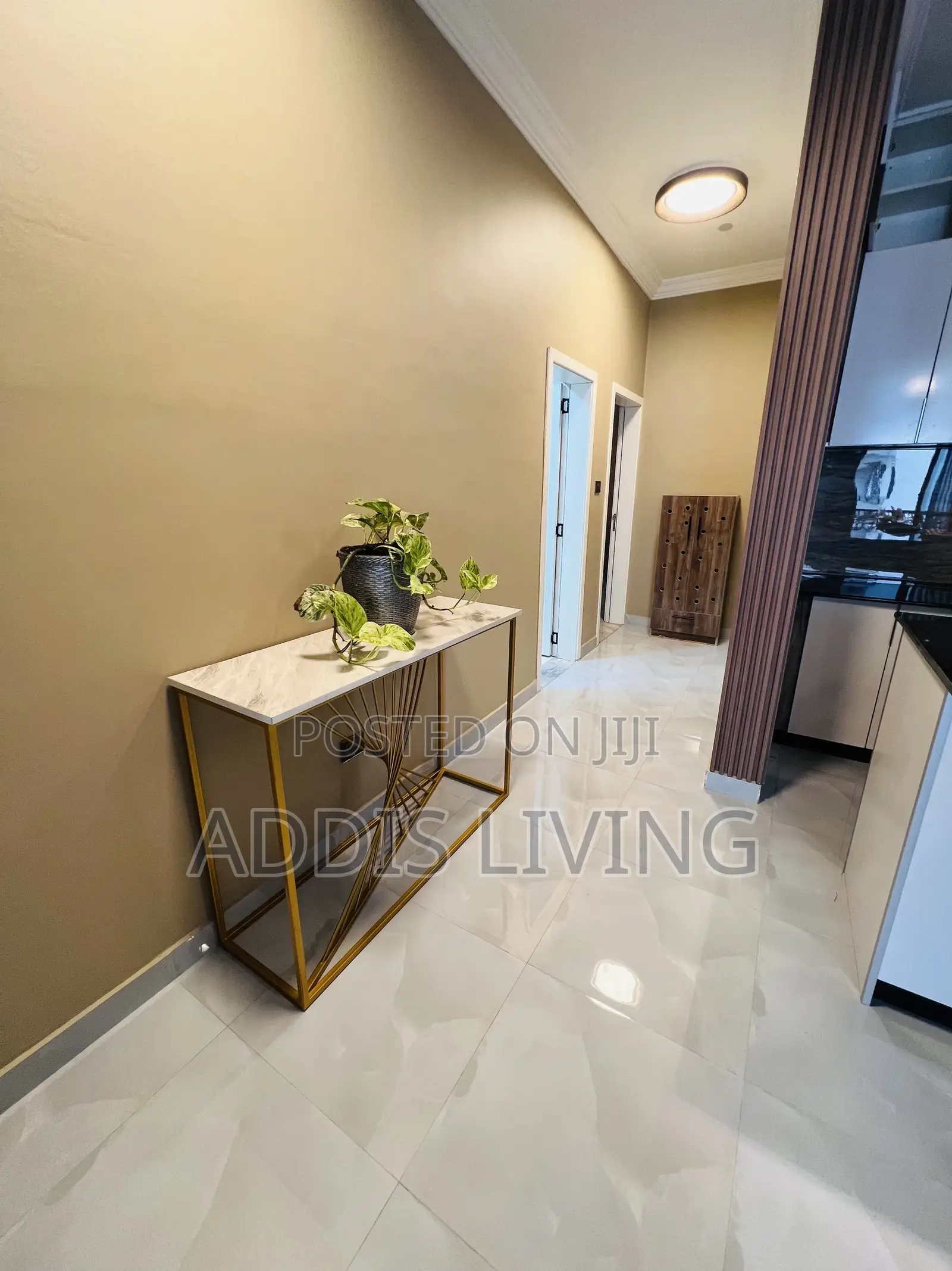 Furnished 2bdrm Apartment in Bole for rent