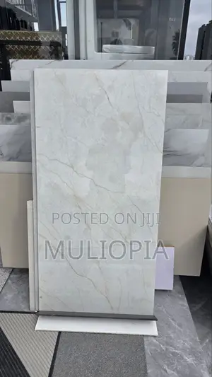 ዘመናዊ የፖርሴሊን የወለል ሰራሚኮች (Premium Porcelain Floor Tiles)