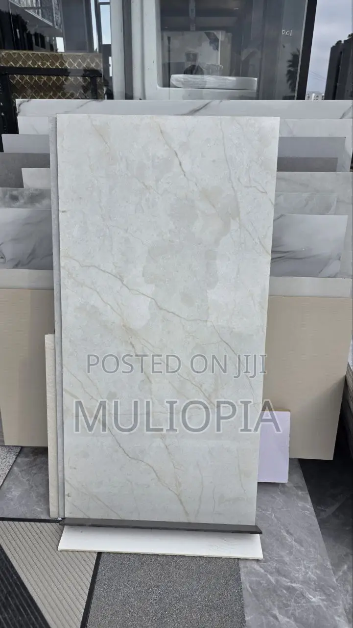 ዘመናዊ የፖርሴሊን የወለል ሰራሚኮች (Premium Porcelain Floor Tiles)