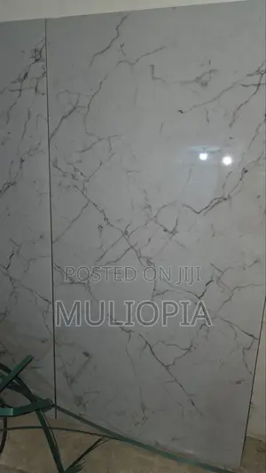 ዘመናዊ የፖርሴሊን የወለል ሰራሚኮች (Premium Porcelain Floor Tiles)