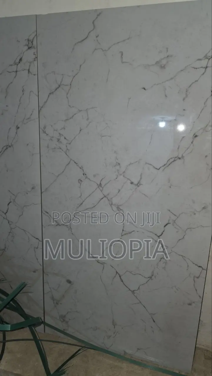 ዘመናዊ የፖርሴሊን የወለል ሰራሚኮች (Premium Porcelain Floor Tiles)