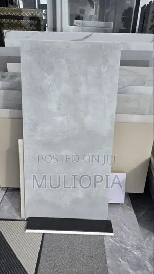 ዘመናዊ የፖርሴሊን የወለል ሰራሚኮች (Premium Porcelain Floor Tiles)