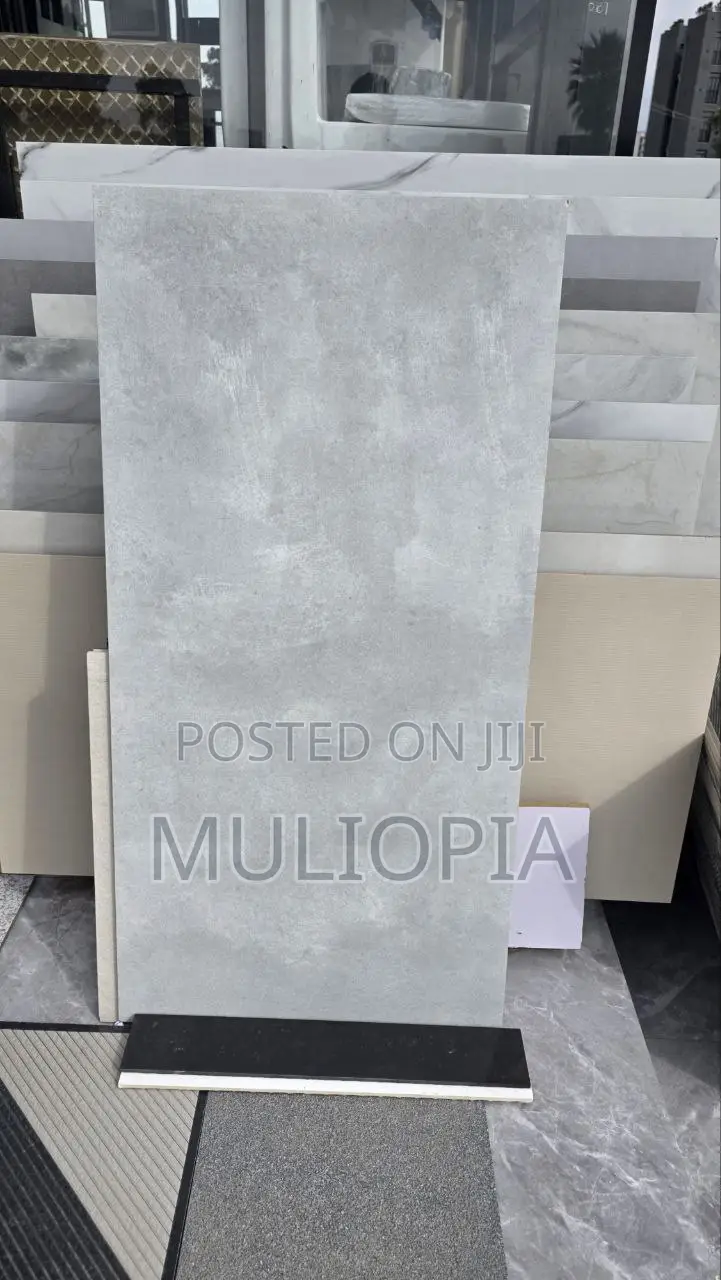 ዘመናዊ የፖርሴሊን የወለል ሰራሚኮች (Premium Porcelain Floor Tiles)