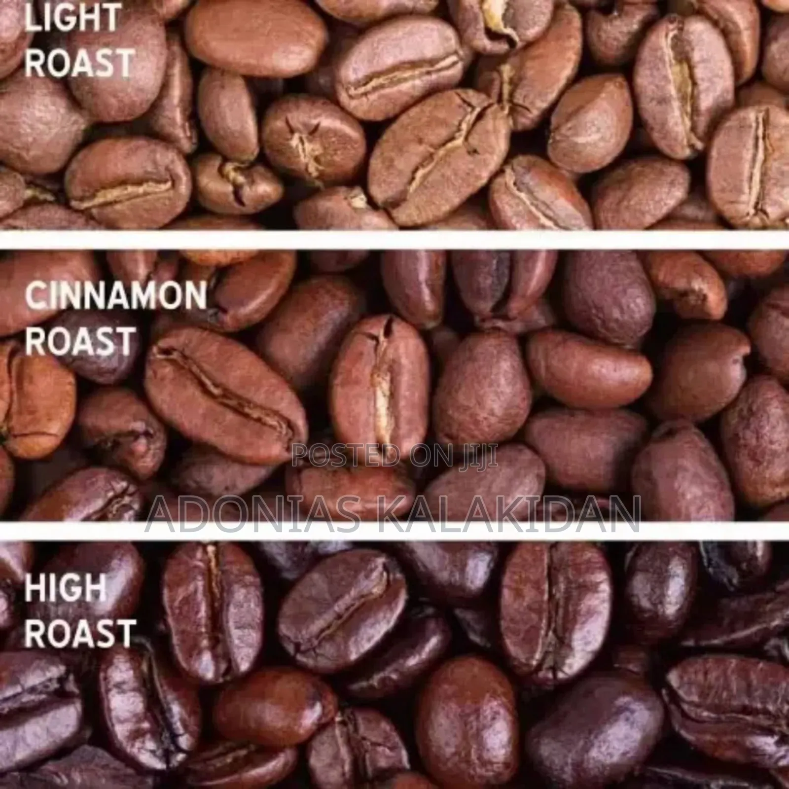 Sonifer Coffee Roaster