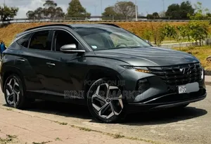 Hyundai Tucson 2021 Gray