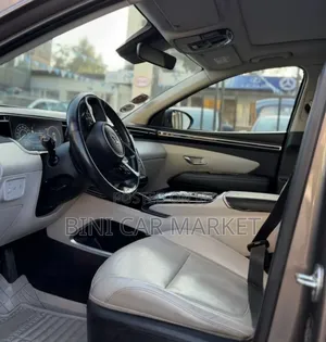 Hyundai Tucson Limited 2021 Brown