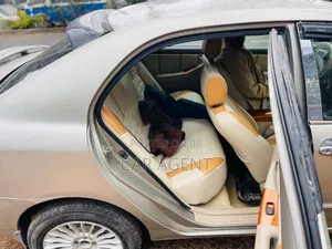 Toyota Corolla 2007 Gold