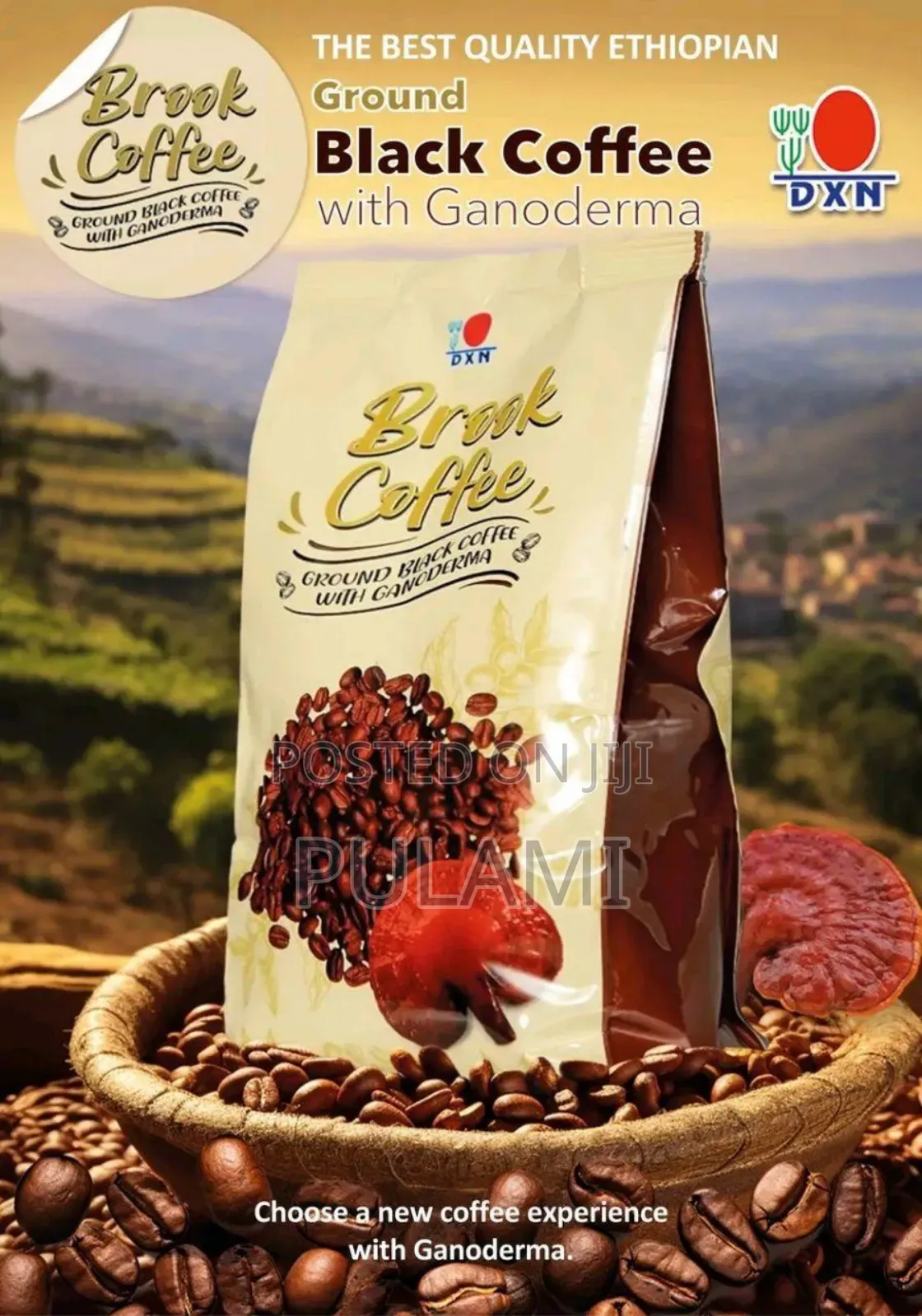 DXN Brook Coffee (ብሩክ ቡና)