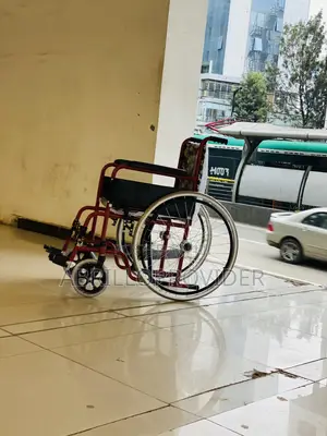Hot Sale Stainless Steel Frame Thick Spoke Tires Adjustable Pedal