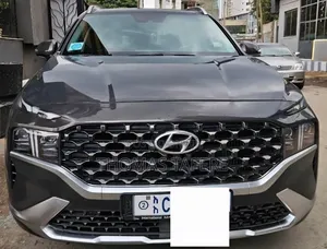 Hyundai Santa Fe 2023 Gray