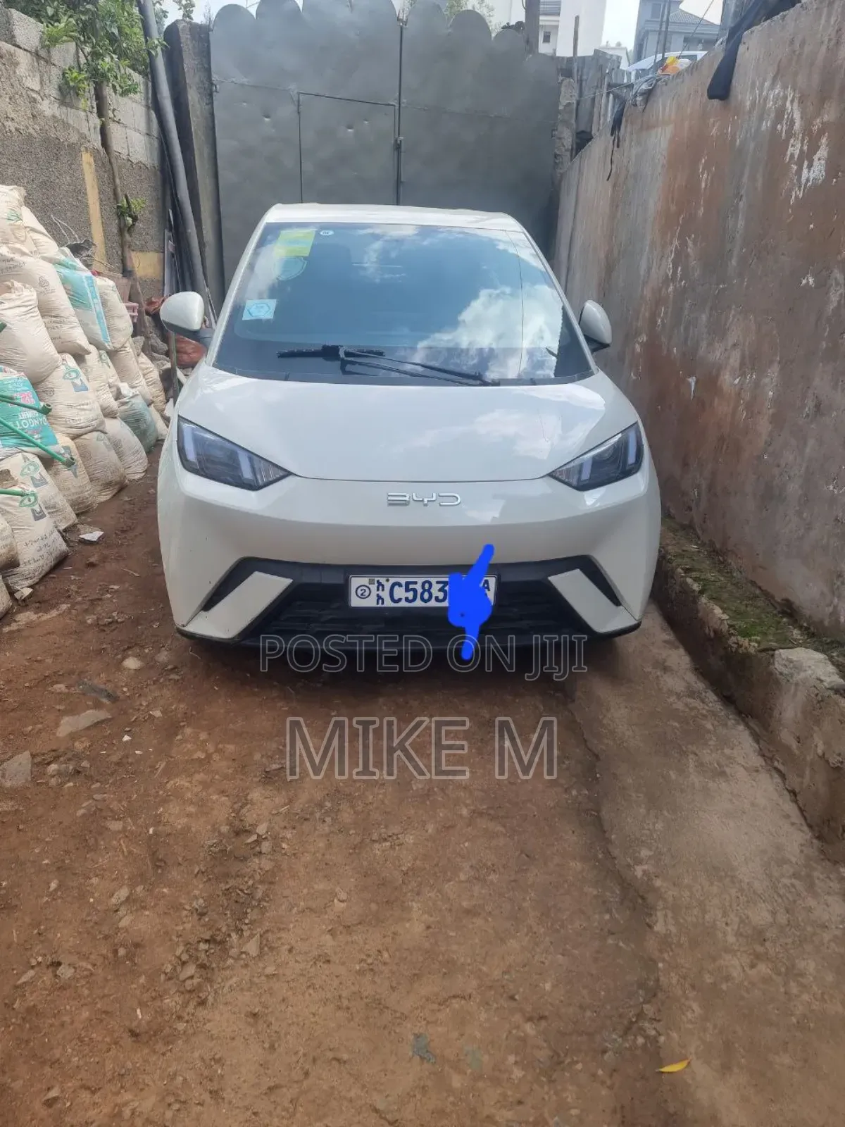 BYD Seagull 38 kWh FWD 2024 White