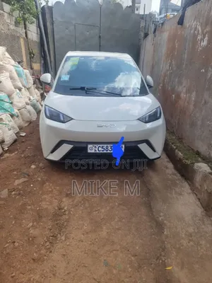 BYD Seagull 38 kWh FWD 2024 White