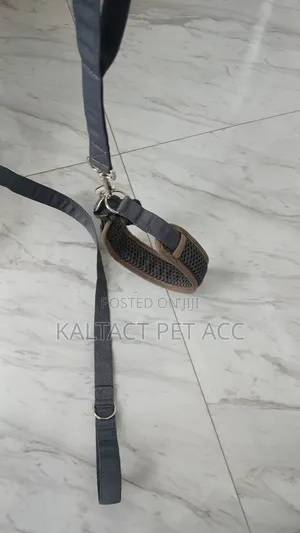 Feborite Dog Collar and Leash
