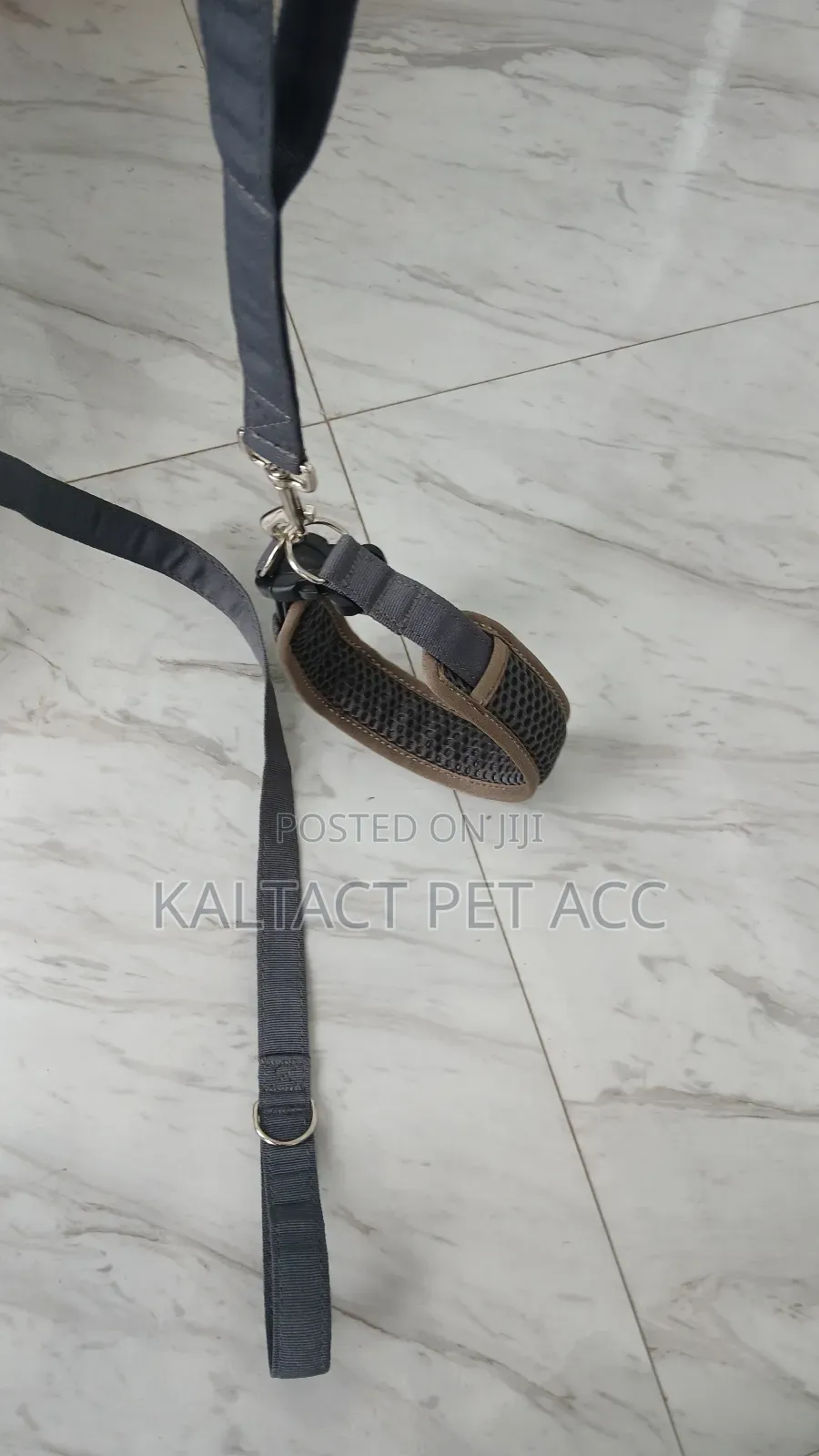 Feborite Dog Collar and Leash