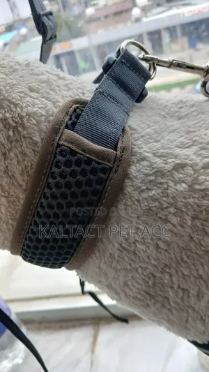 Feborite Dog Collar and Leash