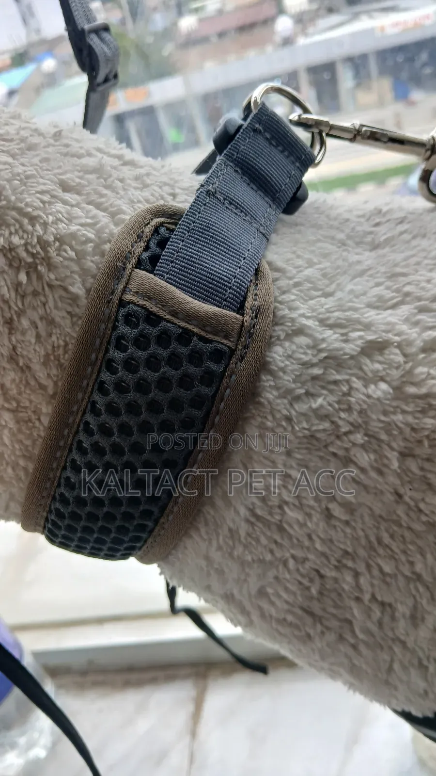 Feborite Dog Collar and Leash