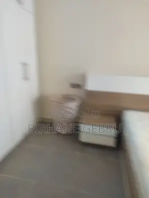 Furnished 2bdrm Apartment in Luxury Apartiment, Kirkos for rent