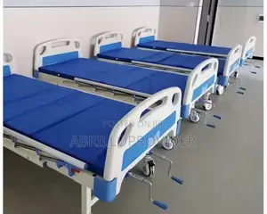 2 Crank Patient Factory Wholesale Medical Furniture Home Care