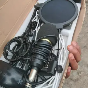 Professional Condenser Microphone