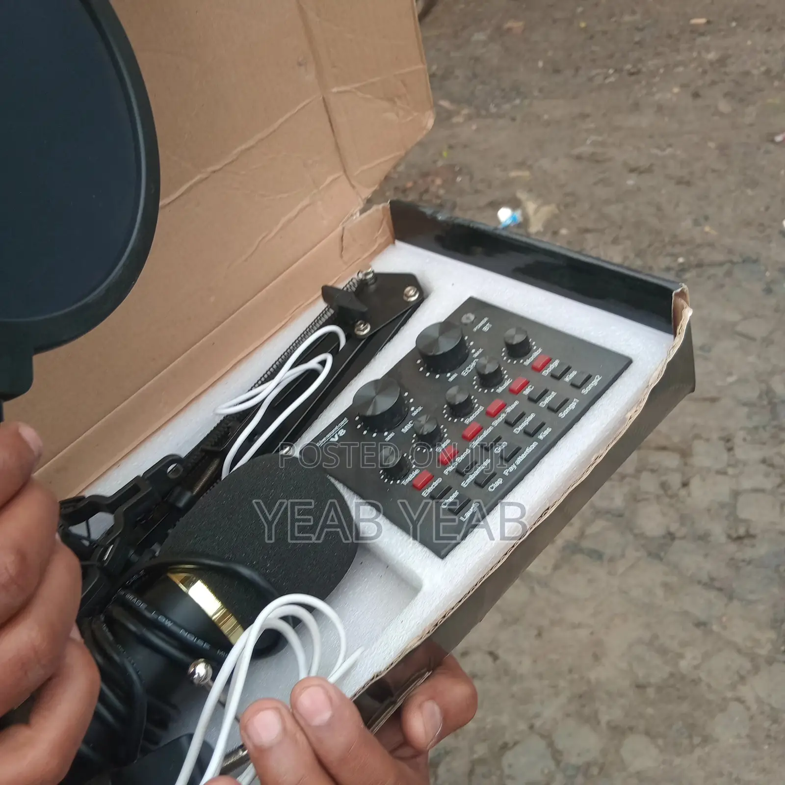 Professional Condenser Microphone