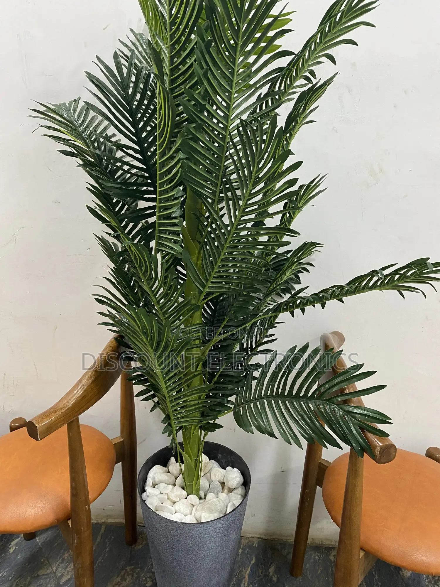 The Indoor Jungle Starter Pack