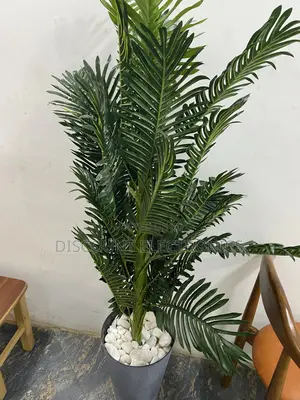 The Indoor Jungle Starter Pack