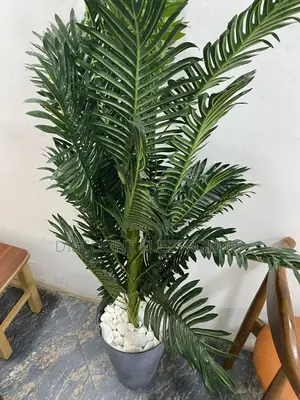 The Indoor Jungle Starter Pack