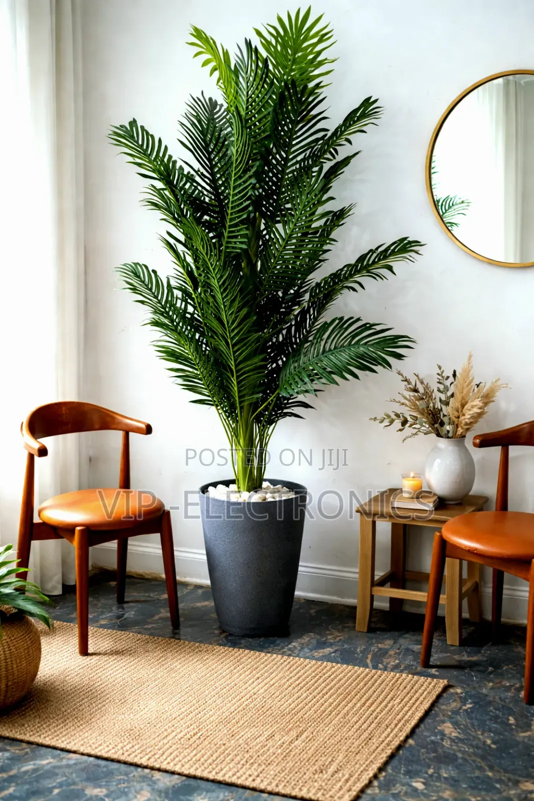 Elegant Indoor Palm Plant – Modern Home Garden Decoration