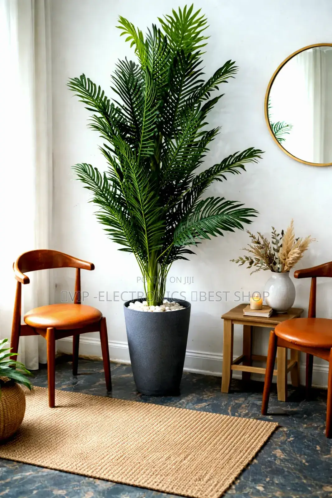 Elegant Indoor Palm Plant – Modern Home Garden Decoration