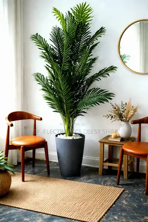 Elegant Indoor Palm Plant – Modern Home Garden Decoration