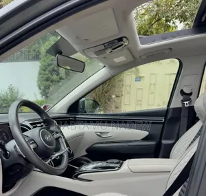 Hyundai Tucson Limited 2022 Silver
